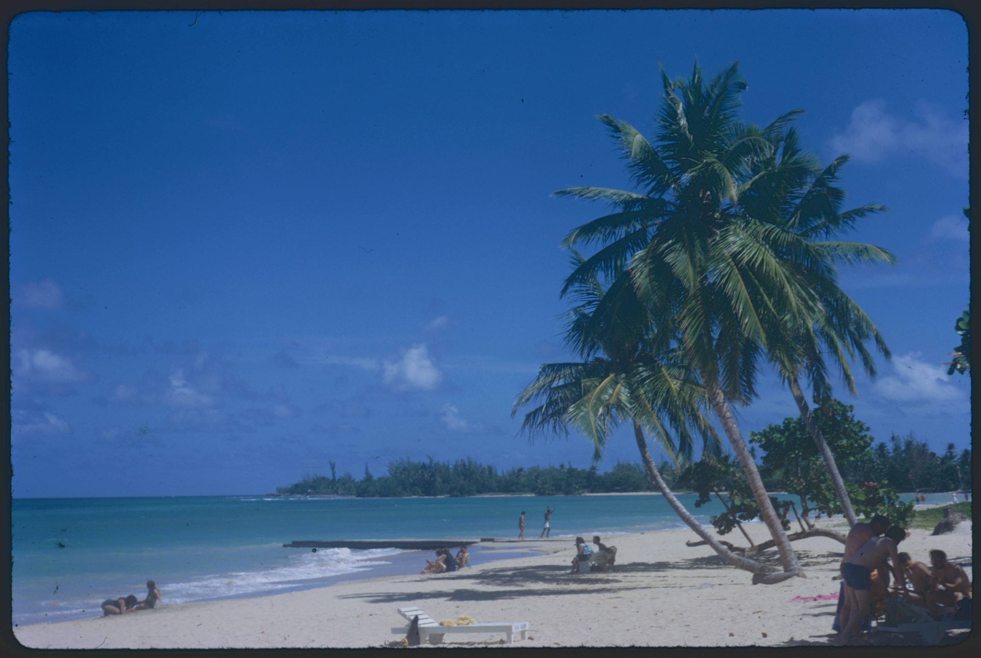 runaway_bay_st_ann's